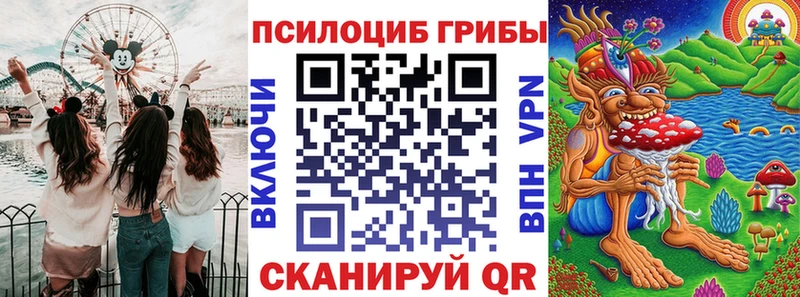 Галлюциногенные грибы мицелий  цены   Курганинск 